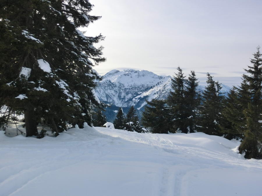 02- Dachstein, Rodeln, Geischl 095